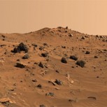 Director de la NASA reconoce que puede existir vida en Marte: Impacto por entrevista