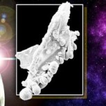 Científicos afirman que una fotografía confirma existencia de vida extraterrestre