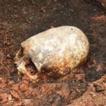 Increíble hallazgo en Rusia: Encuentran cráneo alargado y algunos lo atribuyen a un alien