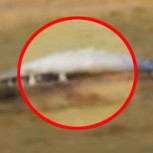 ¿Un platillo volador en Marte? Crece polémica por foto de robot de la NASA