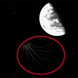 Impacto por fotografía del Apolo 8 que mostraría criaturas extraterrestres en el Espacio