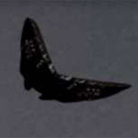 OVNI con forma de mariposa causa conmoción en EE.UU.: Vea el video acá