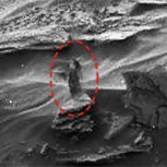Las 10 imágenes de presuntos extraterrestres más impactantes del 2015