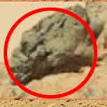 Creen haber encontrado cráneo alargado de un alien en Marte
