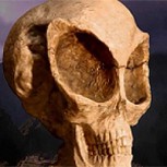 ¿Un cráneo de un extraterrestre? Grupo de científicos admite no saber a qué pertenece