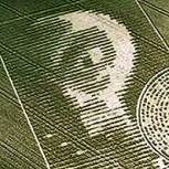 Misteriosos dibujos aparecidos en campos: Sorprendente teoría de un científico sobre los “crop circles”