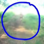 ¿Hobbit o alien? Revuelo por video de extraño ser grabado en una ruta de Indonesia