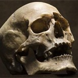 Descubren misteriosos cráneos alargados en Croacia: ¿Qué explicación tiene el fenómeno?