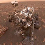 Entomólogo asegura que hay evidencias de insectos viviendo en Marte a partir de fotos tomadas por la propia NASA