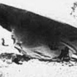 Informe del Pentágono revelaría que EE.UU. ha estudiado tecnología encontrada en un OVNI estrellado en Roswell