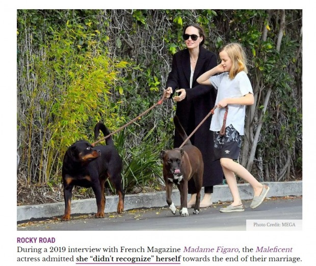 Angelina Jolie y su hija Vivianne, paseando a sus perros en Los Ángeles / Captura radaronline.com
