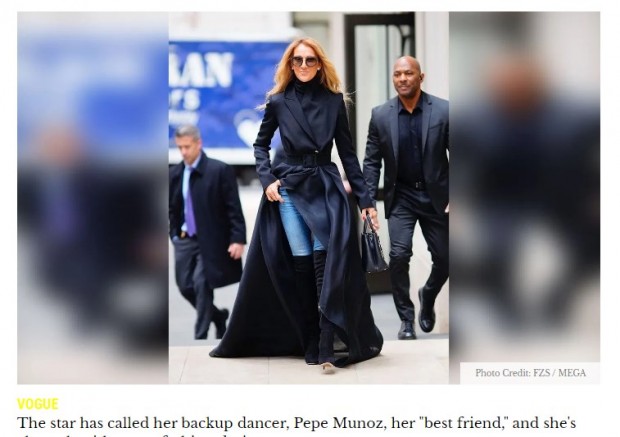 Celine Dion fue captada por paparazzis en Nueva York evidenciando varios kilos de menos / Captura radaronline.com