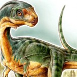 Chilesaurus: el enigmático dinosaurio chileno pariente del tiranosaurio que fue descubierto por un niño