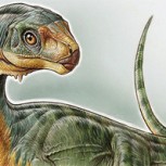 El Chilesaurio llegó a Argentina: Famoso dinosaurio fue descrito como un “Frankenstein”