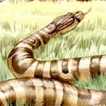 Serpientes gigantes: Las temidas depredadoras de la Patagonia prehistórica