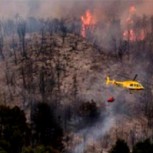 Parque Nacional Los Alerces en llamas por incendio intencional en la Patagonia