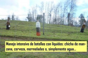 9.-_Botellas_trampa_2._Comuna_San_Juan_de_La_Costa.