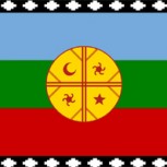 Estudio científico asocia mayor riesgo de cáncer de vesícula con la ascendencia mapuche