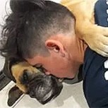 Perro muere por estallidos de fuegos artificiales: Desgarrador mensaje de su dueña