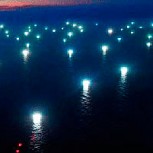 Decenas de buques extranjeros son sorprendidos pescando ilegalmente en el territorio argentino