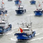 Flota pesquera asiática: Denuncian matanza de especies protegidas en el Atlántico Sur