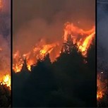 Una nueva catástrofe: El fuego vuelve a consumir bosques en la Patagonia argentina