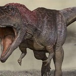 Meraxes gigas: Descomunal “Devorador de dinosaurios” habría habitado Patagonia