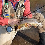 Recomendaciones de Pesca para el Final de Temporada de Truchas