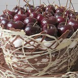Torta de chocolate con guindas ácidas: Receta rescata esencia de preparación alemana