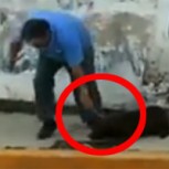 Video: Dueño le pega a su perro y luego sufre las consecuencias del karma