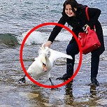 Mujer mata a un cisne para tomarse una selfie: Repudio total en las redes