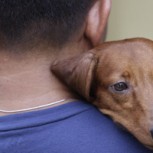 Tenencia Responsable: ¿Qué es y por qué es importante?