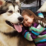 El lobo, el perro y el hombre: Los sorprendentes rasgos que los hacen muy parecidos