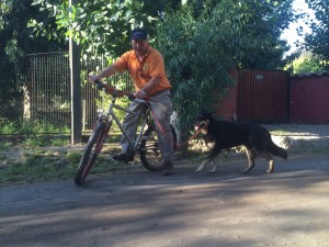 raul en bici