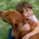 Expertos destacan rol clave de los perros en algunas terapias con niños
