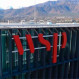 WSP desarrolla soluciones integrales y sostenibles para las industrias 
