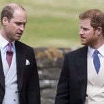 Príncipes William y Harry habrían tomado importante decisión que reflejaría su distanciamiento