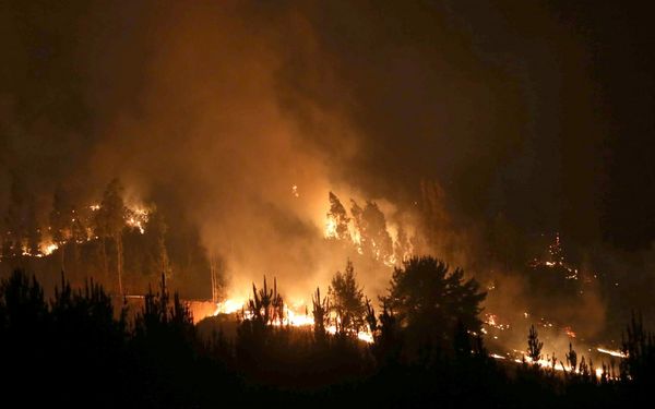 Resultado de imagen para Incendios en Chile