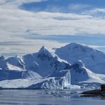 Dramático video: Investigadores muestran isla de la Antártida sin nieve