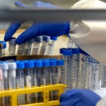 Región Metropolitana presentó 373 casos nuevos de Coronavirus: Solo la superó la del Bío Bío