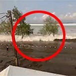 Tsunami en Tonga: Videos del fenómeno que se produjo tras la erupción de un volcán submarino
