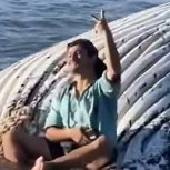 Repudio General: Graban a hombre tomándose fotos sentado sobre una ballena muerta en Penco
