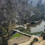 Fiscalía decide no formalizar a sospechosos detenidos por el incendio en Jardín Botánico de Viña