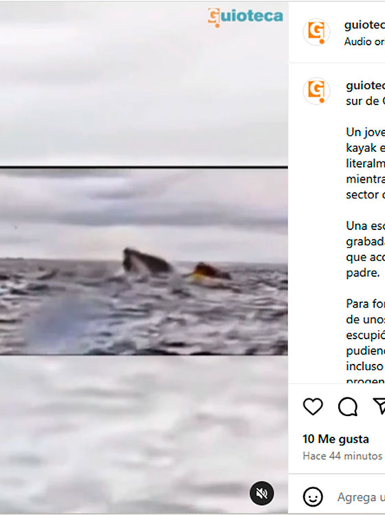 ballena-kayak-2
