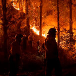 Incendios forestales en Chile han quemado más de 9 mil hectáreas: Se han registrado 77 en total