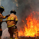 16 incendios forestales siguen activos: La mitad de ellos están en la Región de La Araucanía