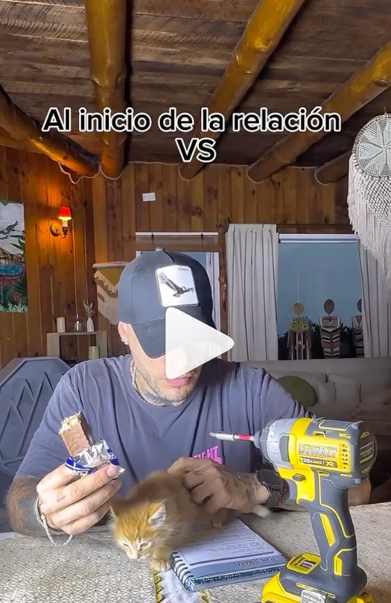 Palacios-2