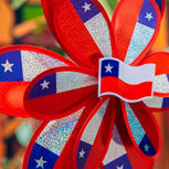 Conductor de aplicación contó las altas ganancias que obtuvo en la semana de Fiestas Patrias