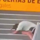 Simuló dramática caída: Pasajero ebrio en Antofagasta fue detenido por amenazas en el aeropuerto