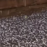 Videos: Inusual temporal de granizo impactó a Santiago